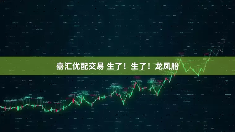 嘉汇优配交易 生了！生了！龙凤胎