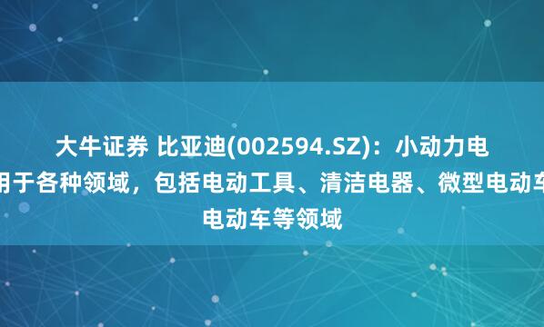 大牛证券 比亚迪(002594.SZ)：小动力电池可应用于各种领域，包括电动工具、清洁电器、微型电动车等领域